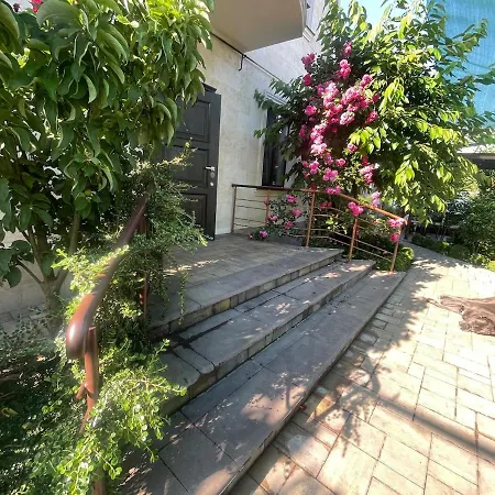 Family House *